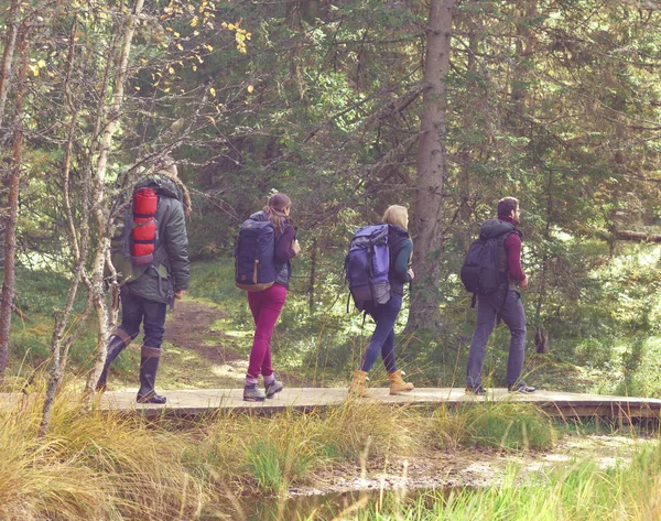 Jeunes amis marchant en forêt — Photo