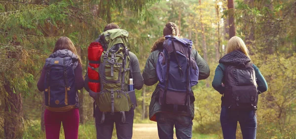 Jovens amigos caminhando na floresta — Fotografia de Stock