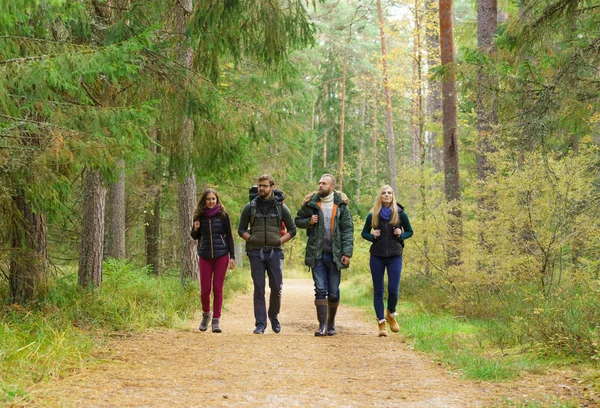 Młodzi przyjaciele spaceru w lesie — Zdjęcie stockowe