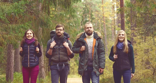 Młodzi przyjaciele spaceru w lesie — Zdjęcie stockowe