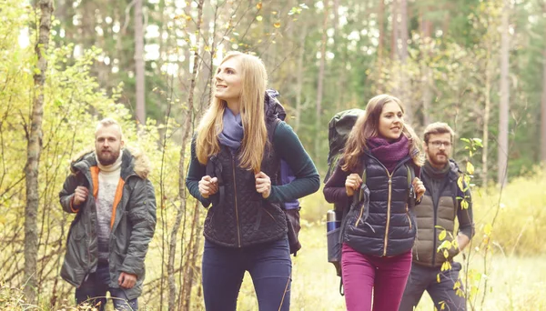 Mladí přátelé, procházky v lese — Stock fotografie