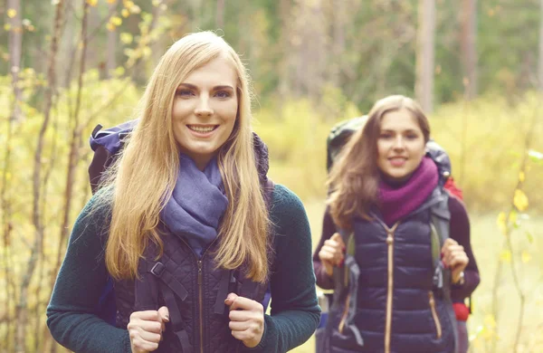 Jonge vrouwen wandelen in het bos — Stockfoto