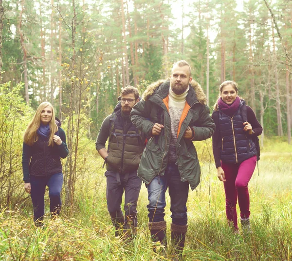 Молоді друзі ходять в лісі — стокове фото