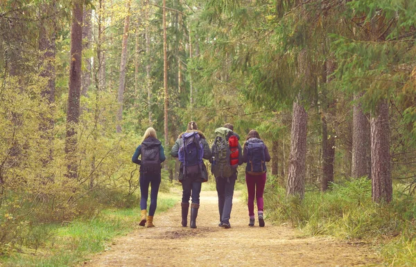 Junge Freunde spazieren im Wald Stockbild