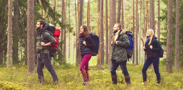 Jonge vrienden wandelen in het bos — Stockfoto