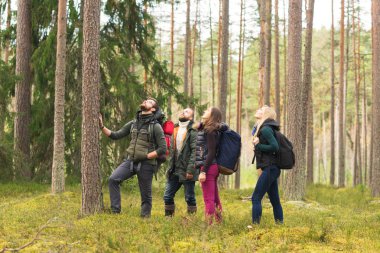  Genç arkadaşlar ormanda yürüyüş