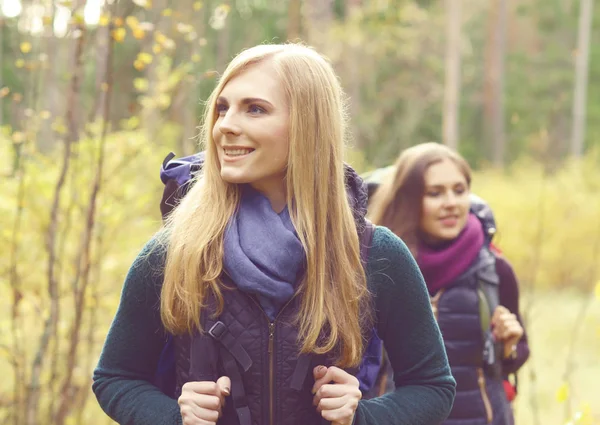 Genç kadın ormanda yürüyüş