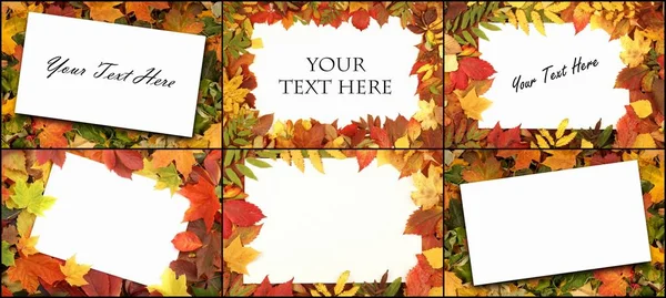 Осенние цветные листья и бумажные листы — стоковое фото