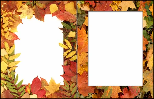 Осінні барвисті листя і паперові листи — стокове фото