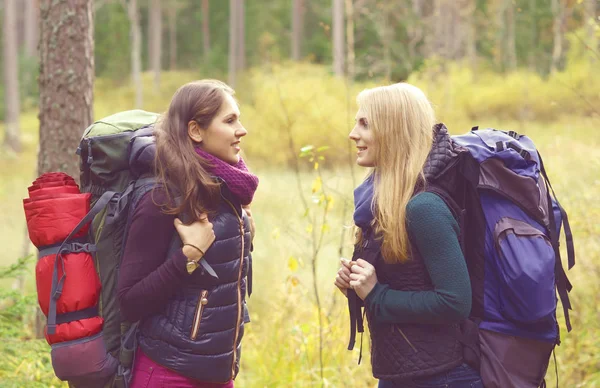 Genç kadın ormanda yürüyüş