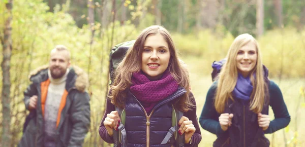 Jonge vrienden wandelen in het bos — Stockfoto