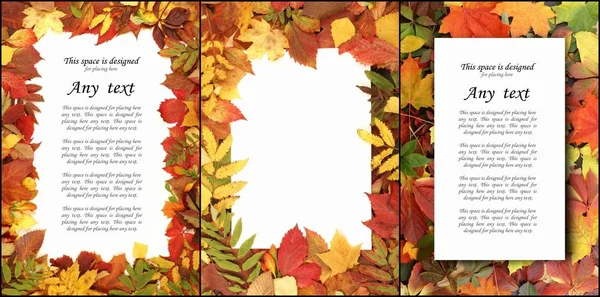 Hojas coloridas de otoño y hojas de papel —  Fotos de Stock
