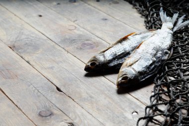 balık ağları ve balıklar