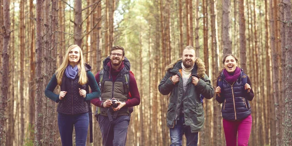 젊은 친구 들 숲에서 산책 — 스톡 사진