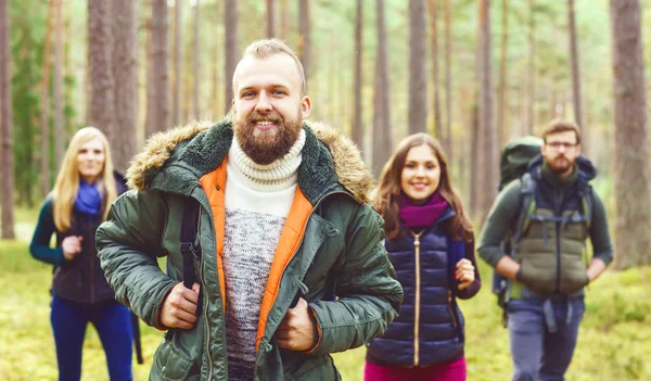 Молоді друзі ходять в лісі Стокова Картинка