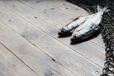 balık ağları ve balıklar