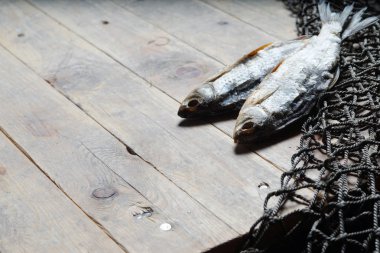 balık ağları ve balıklar