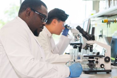 Laboratuvarda çalışan bir bilim adamı. Doktorlar tıbbi araştırma yapıyor. Laboratuvar aletleri: mikroskop, test tüpleri, ekipmanlar. Biyoteknoloji, kimya, bilim, deneyler ve sağlık konsepti. Gün ışığı ve