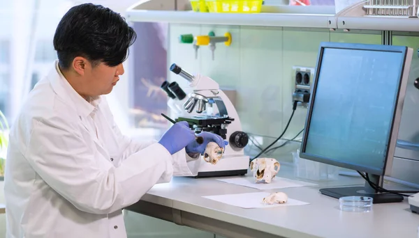 Scientifique Travaillant Labo Médecin Asiatique Faisant Recherche Médicale Outils Laboratoire — Photo
