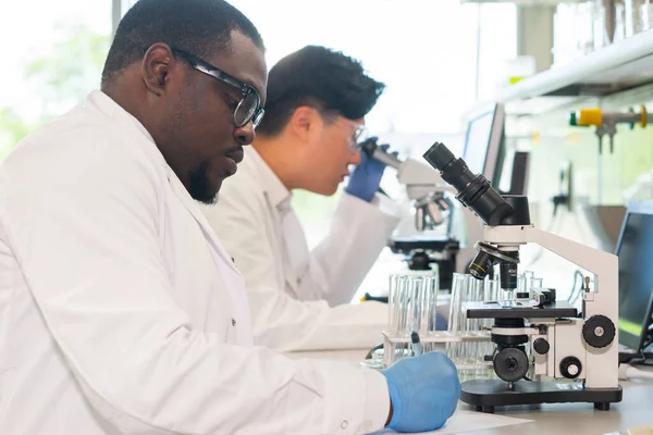 Laboratuvarda çalışan bir bilim adamı. Doktorlar tıbbi araştırma yapıyor. Laboratuvar aletleri: mikroskop, test tüpleri, ekipmanlar. Biyoteknoloji, kimya, bilim, deneyler ve sağlık konsepti. Gün ışığı ve