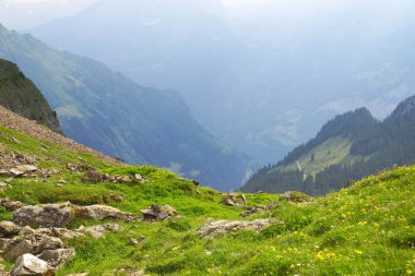 Dağ doruklarına arka plan manzara. Jungfrau, Bernese highland. Alpler, turizm, dağlar kavram hiking yolculuk
