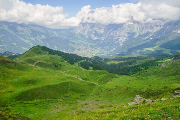 Picos Alpinos Paisaje Fondo Jungfrau Altiplano Bernés Alpes Viaje Turístico — Foto de Stock