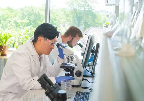 研究室で働く科学者や学生 医師はインターンに分析研究を教える 研究室のツール 顕微鏡 試験管 生物学 細菌学 ウイルス学 Dna — ストック写真