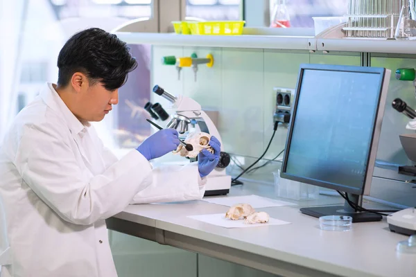 Scientifique Asiatique Travaillant Laboratoire Docteur Microbiologie Outils Laboratoire Microscope Éprouvettes — Photo