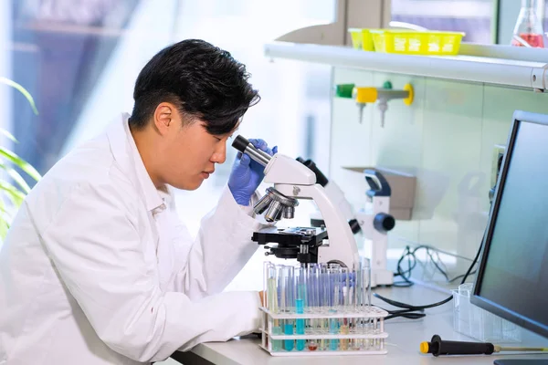 Scienziato Asiatico Che Lavora Laboratorio Dottore Che Ricerche Microbiologia Strumenti Fotografia Stock