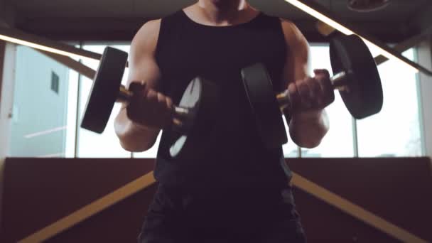 Athlétique Beau Sportif Masculin Travaillant Dans Salle Gym Des Exercices — Video