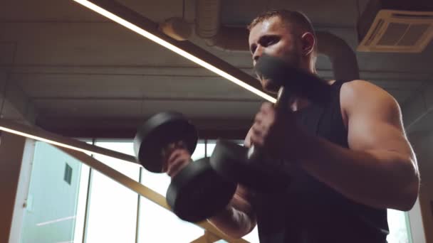 在体育馆工作的体态英俊的男性运动员用哑铃 强壮健康的健美健美者腹部训练练习 锻炼和生活方式概念 — 图库视频影像