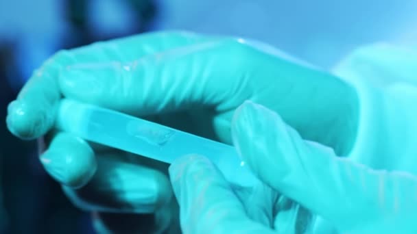 Sangre Virus Tubo Laboratorio Primer Plano Del Laboratorio Científico Las — Vídeo de stock