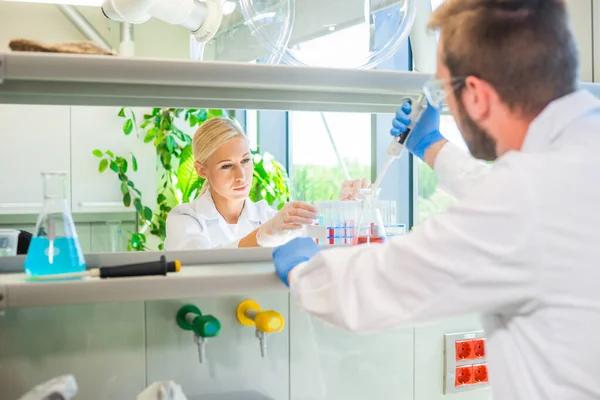 Cientista Estudantes Que Trabalham Laboratório Médico Ensinar Estagiários Fazer Análises — Fotografia de Stock