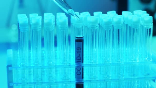 Laboratory Tubes Blood Virus Close Scientific Lab Hospital Epidemic Disease — Stock Video
