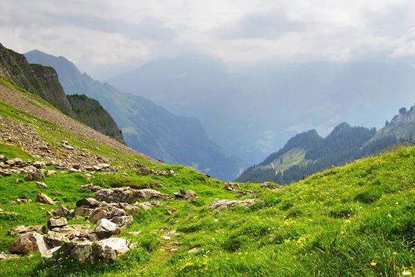 Alp tepeleri kara sapı arka planı. Jungfrau, Bernese Highland 'de. Alpler, turizm, seyahat, dağ yürüyüşü konsepti.