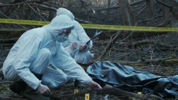 侦探在犯罪现场搜集证据 提供专门知识的法医专家 警察和森林调查 — 图库视频影像