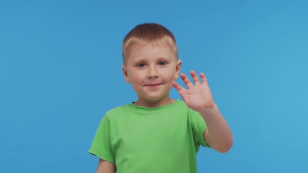 Πορτρέτο Του Χαρούμενου Χαμογελαστού Αγοριού Μπλουζάκι Ελκυστικό Και Εκφραστικό Παιδί — Αρχείο Βίντεο
