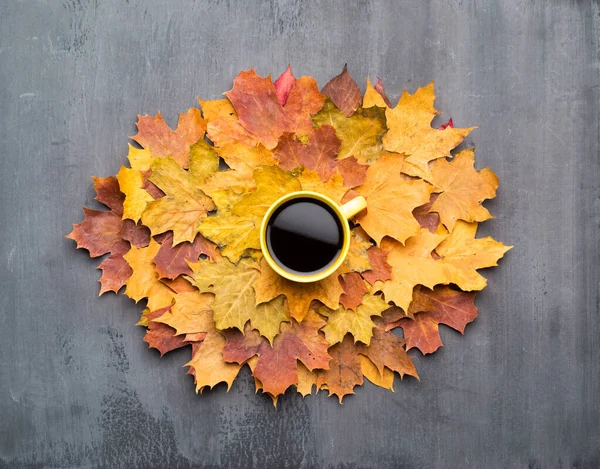 Saisonale Herbststimmung Rahmen Aus Bunten Ahornblättern Und Einer Tasse Heißen — Stockfoto