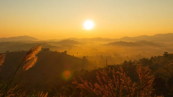 The morning sun and the orange sky above the mountains. The beam of the sun hitting trees and flowers of grass.