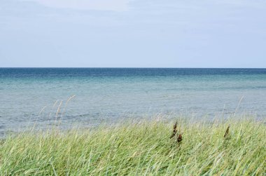 Denizin mavi ve turkuaz renkli gradyanı ve ön planda yeşil otları olan manzarası.