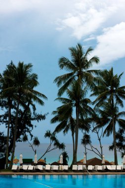 Palmiye ağaçları ile denizin üzerinde Beach resort