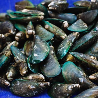 Balık pazarı üzerinde yeşil midye