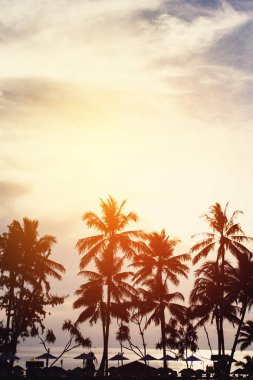 Sahil şeridi günbatımında Beach