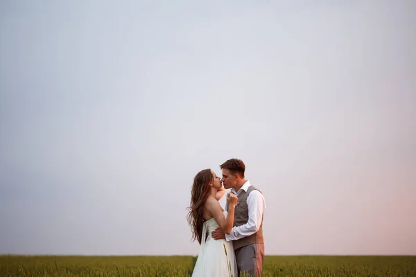 Beautiful wedding couple — Stock Photo, Image