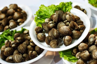 Deniz kabuklarını bölümleri plastik plakalar üzerinde