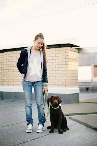 Young woman with her dog labrador — Stock Photo, Image