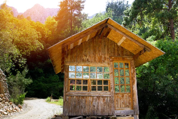 Wooden house in forest