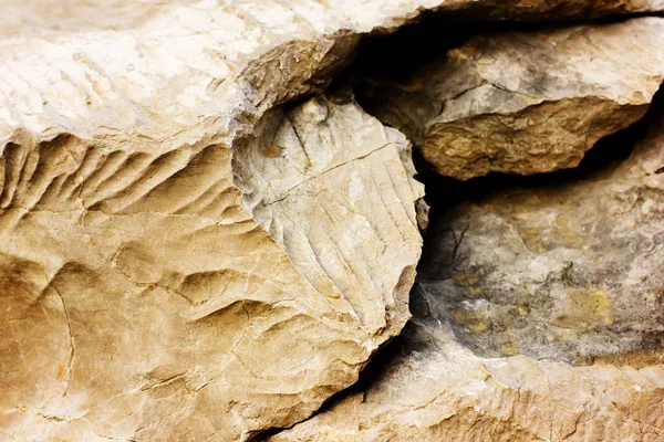 Piedras duras textura — Foto de Stock