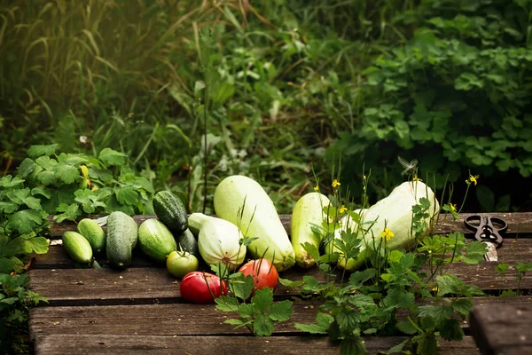 木製の背景には 屋外の新鮮な夏野菜作物 — ストック写真