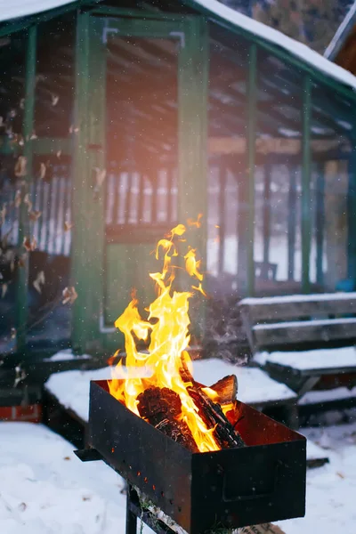 Logs Καύση Ένα Brazier Στην Αυλή Εξωτερικούς Χώρους Χειμώνα Ζεστό — Φωτογραφία Αρχείου